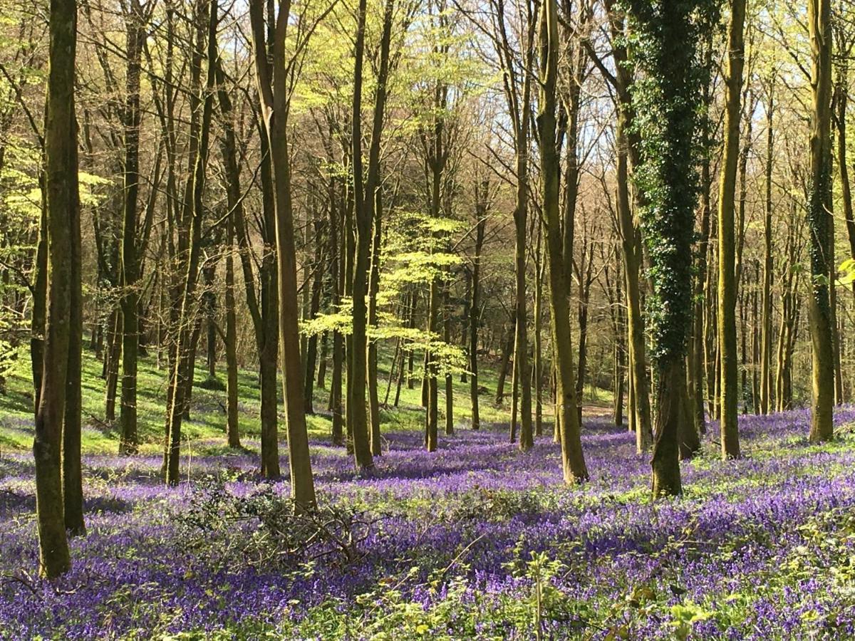 Charlton End - Goodwood Events Bed & Breakfast Chichester Ngoại thất bức ảnh